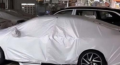 国产流出,探寻中国电影艺术的璀璨历程