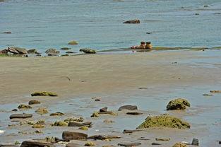 爱情岛国产,探寻异域风情的爱情秘境